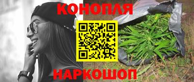 сатива Донецк