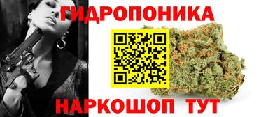 apvp Дубна